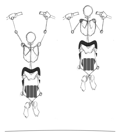 Weighted Pronated Pull-ups.