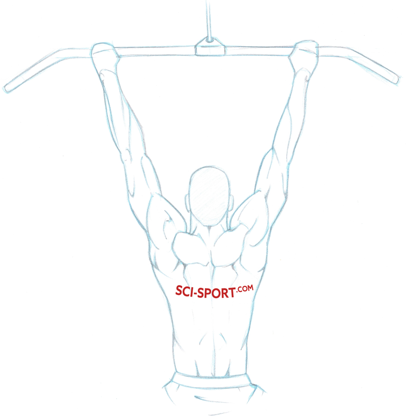 Medium grip: 1.5 × bi-acromial width.