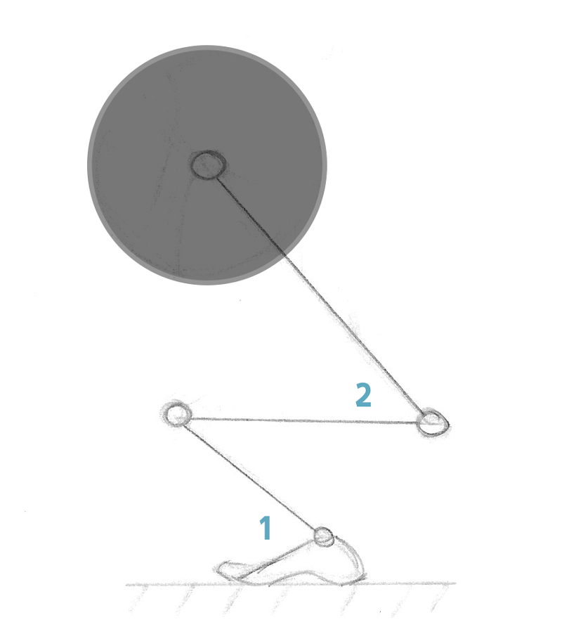 Schéma des segments et des angles articulaires observés, (1) Dorsiflexion de la cheville et (2) Inclinaison du buste
