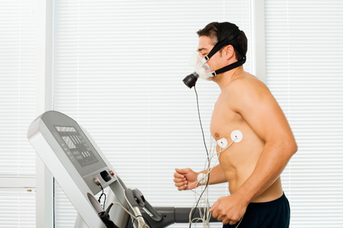 Assessment of VO2MAX in an incremental treadmill test