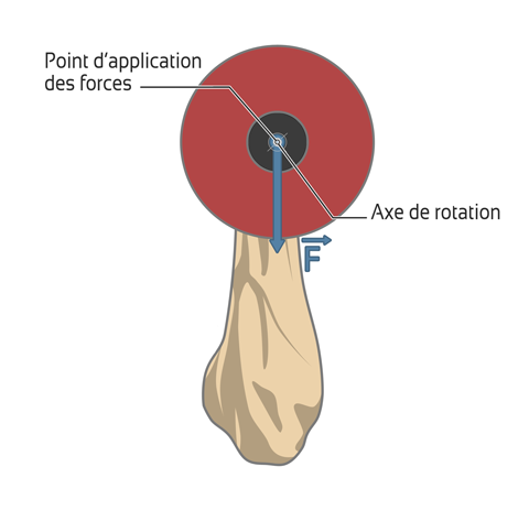 Application des forces avec haltère lors du maintien du bras à la verticale