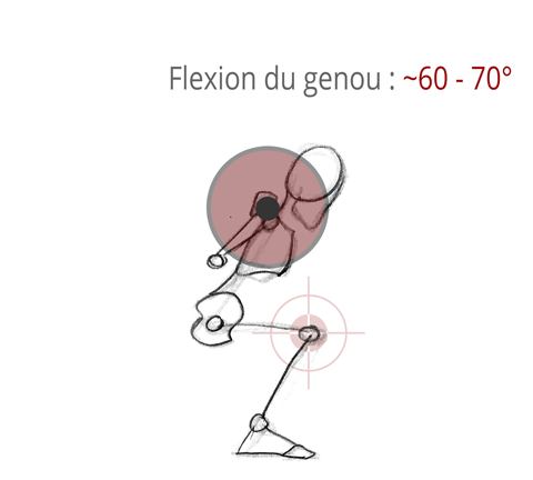 Développé vertical assis avec barre