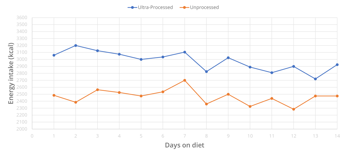 Daily variation of dietary intake ad libitum during the two diets