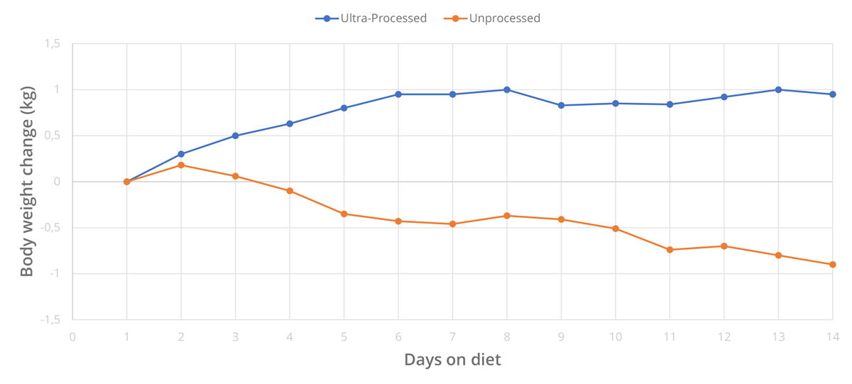 Daily variation of body weight during the two diets