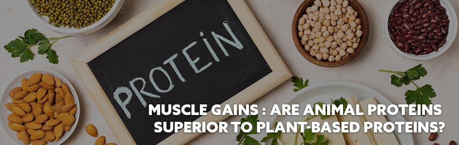 muscle, gains, protein, animal, plant-based, nutrition, diet, exercise, alternative