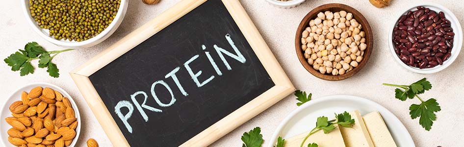 Sciences of Sport | Muscle gains : are animal proteins superior to plant-based  proteins?