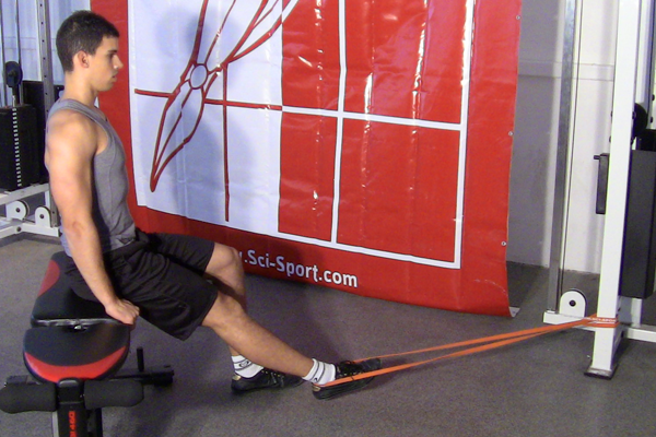 Exercices Sci-Sport  Flexion du genou avec bande élastique